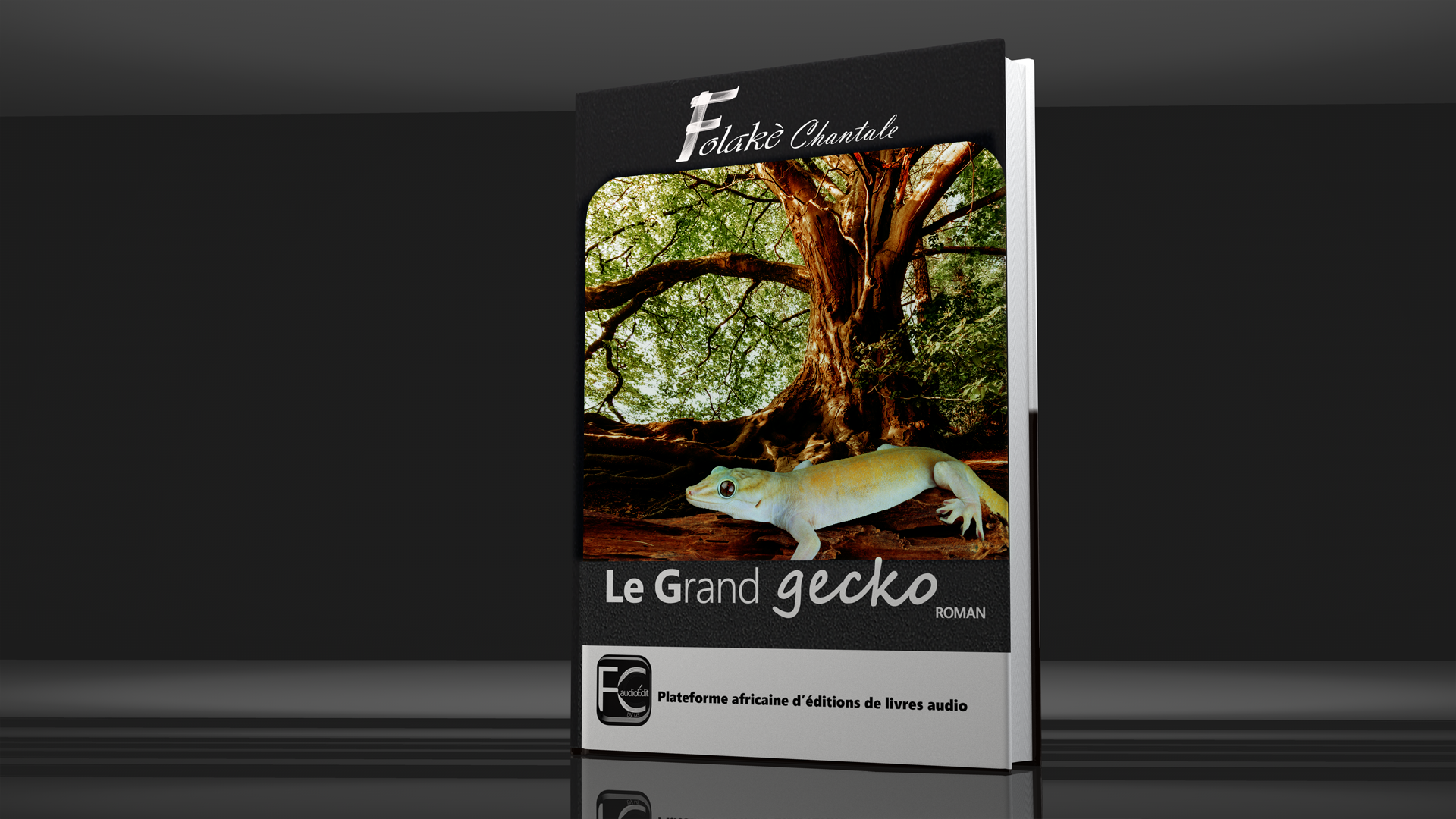 LE GRAND GECKO de Folake Chantale LIVRE AUDIO FCaudioÉdit